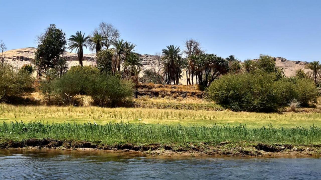 Habibi Nubian Guest House-Nubian Hospitality อัสวาน ภายนอก รูปภาพ