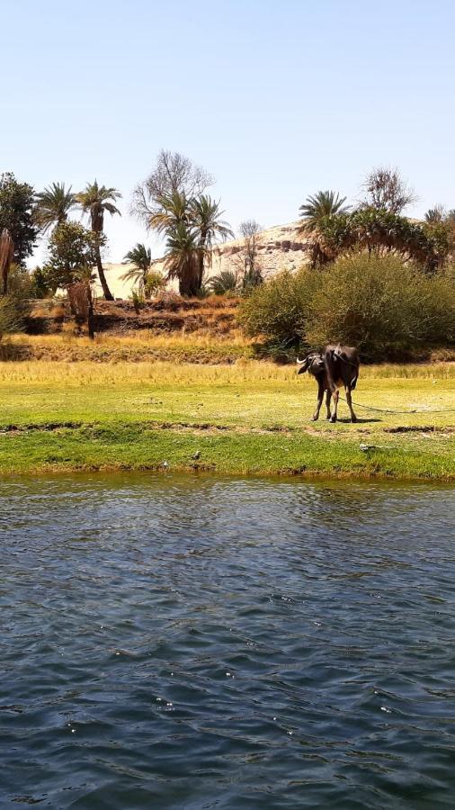 Habibi Nubian Guest House-Nubian Hospitality อัสวาน ภายนอก รูปภาพ