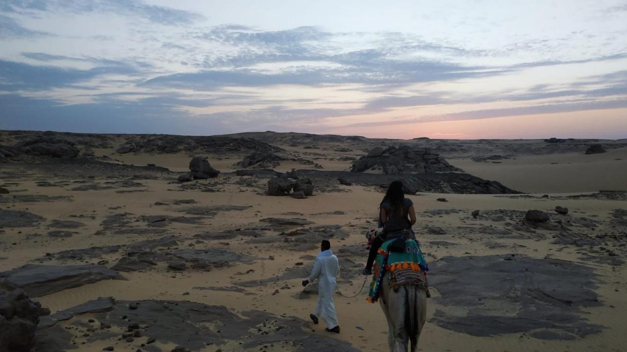 Habibi Nubian Guest House-Nubian Hospitality อัสวาน ภายนอก รูปภาพ