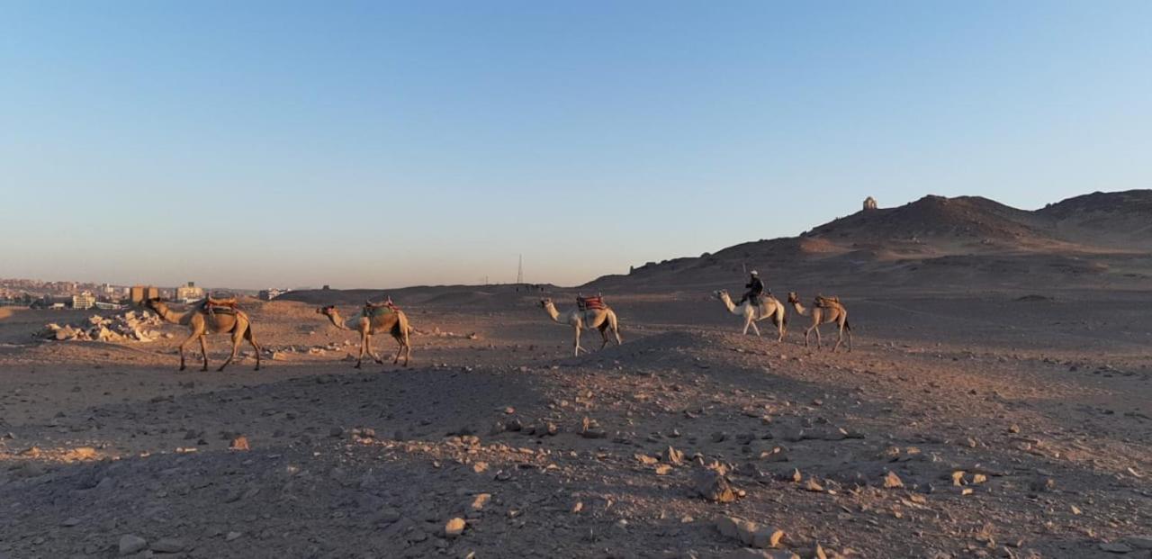 Habibi Nubian Guest House-Nubian Hospitality อัสวาน ภายนอก รูปภาพ